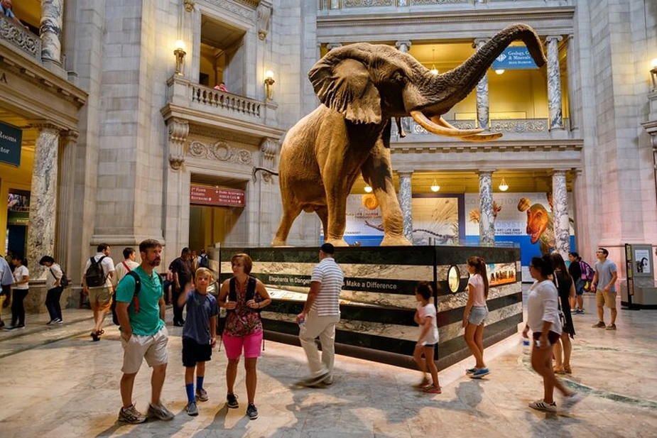 Amerikanska naturhistoriska museet