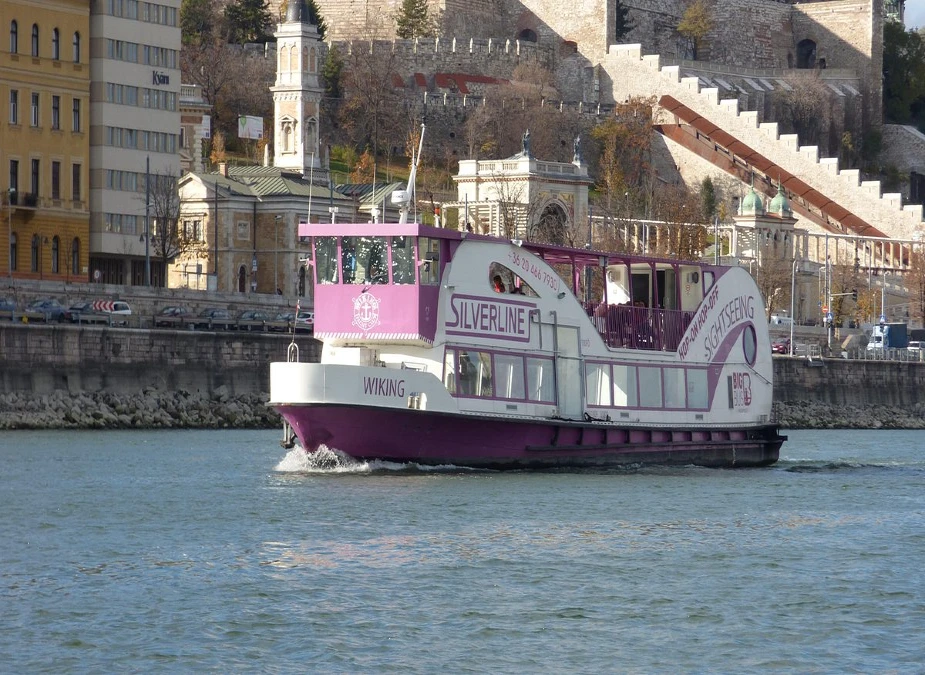 70 minuters sightseeingkryssning på Donau