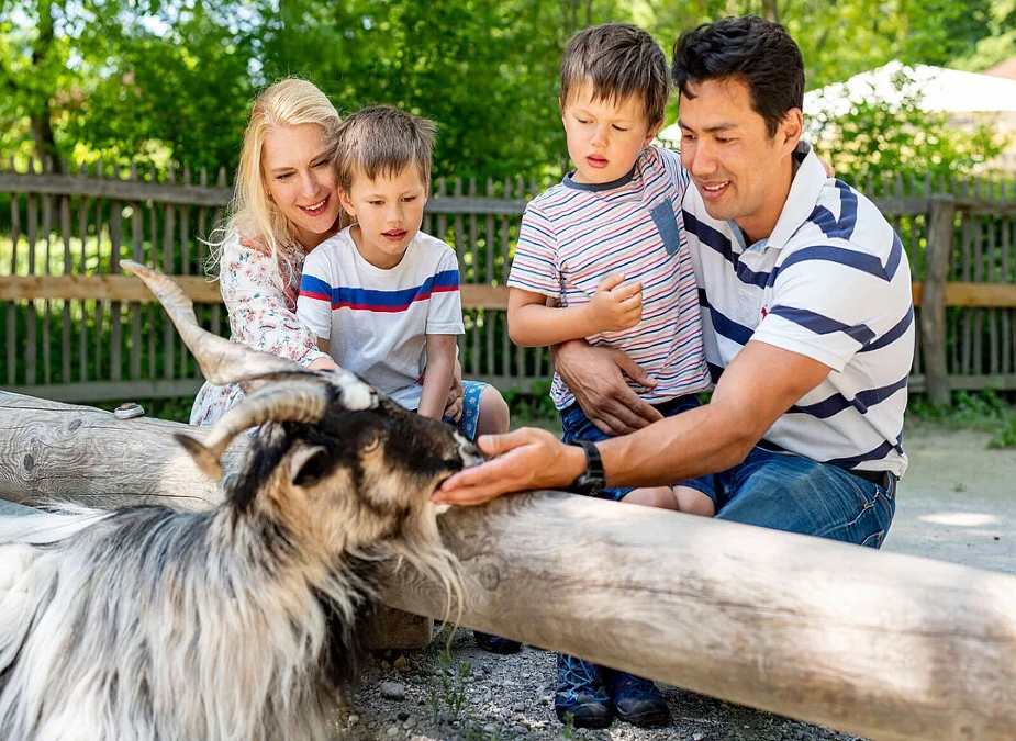 Explore the Munich Zoo (Tierpark Hellabrunn)