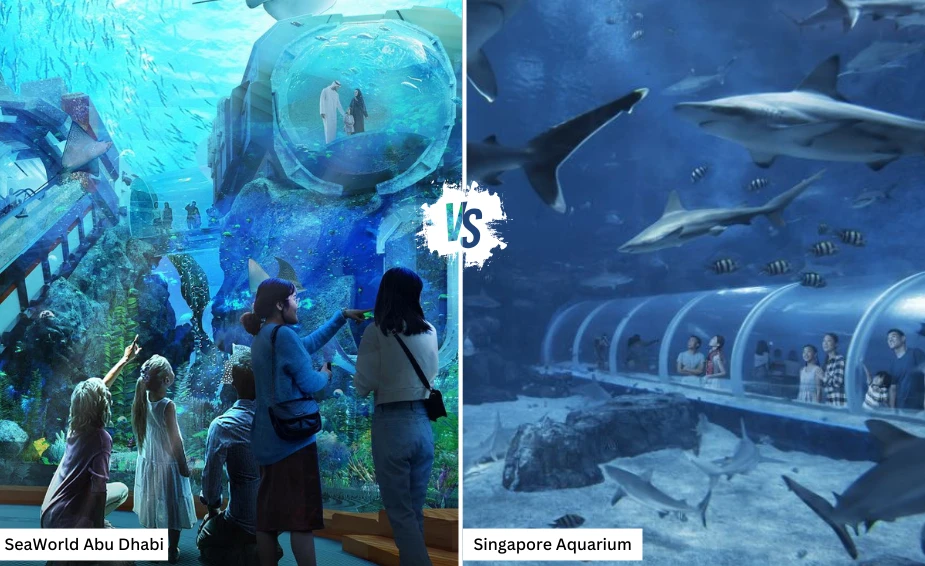 SeaWorld Abu Dhabi u odnosu na Singapurski akvarij Naša preporuka