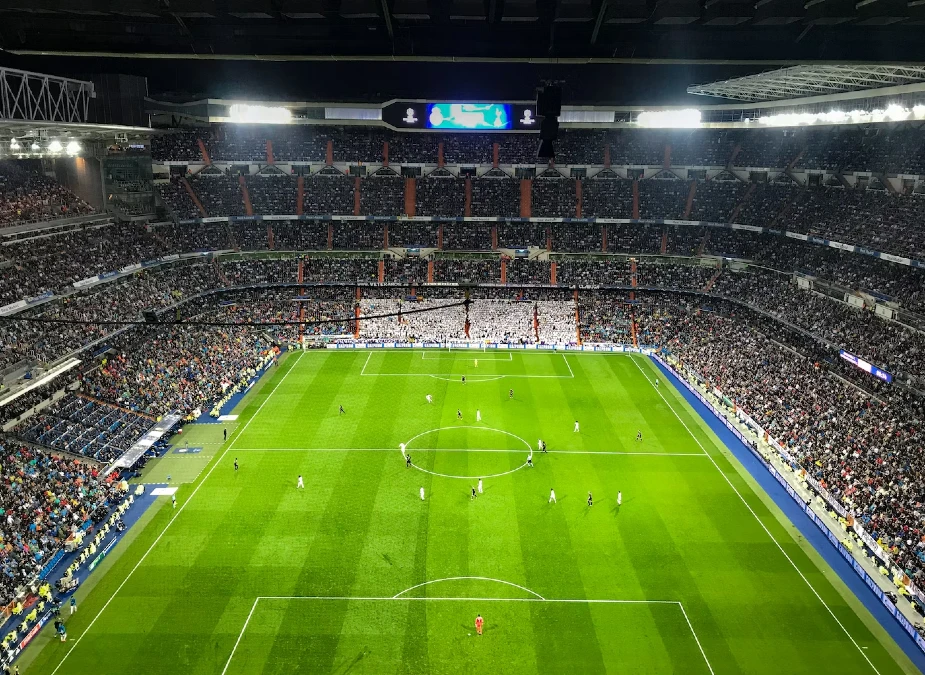 The Playing Field