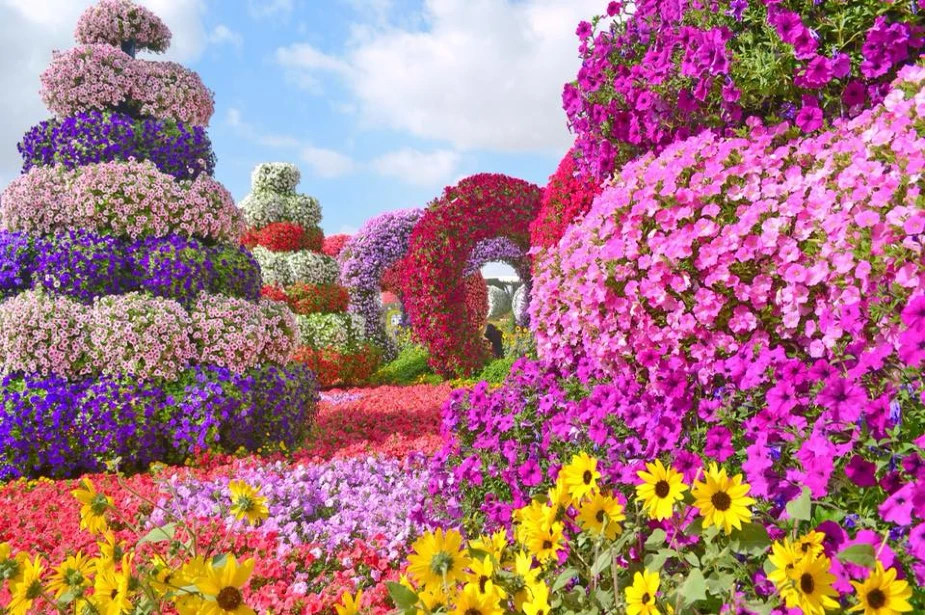 3D Floral Design