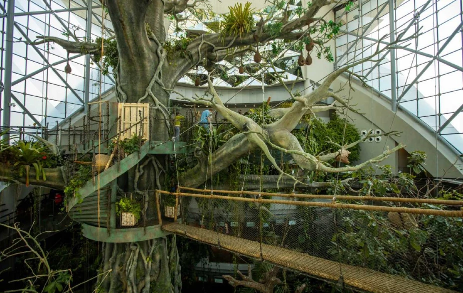 Complex of the Green Planet