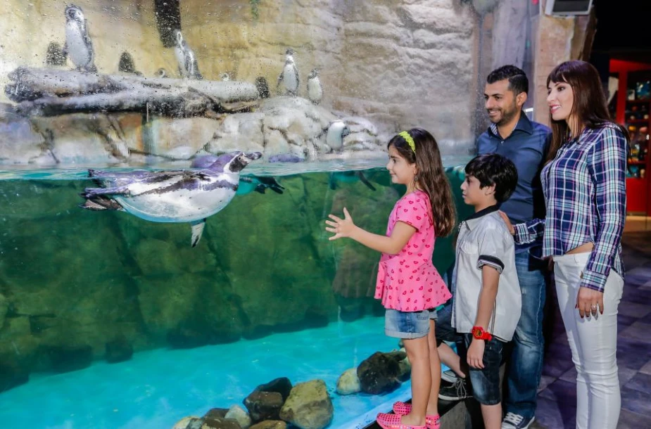 Dubai Aquarium Tickets