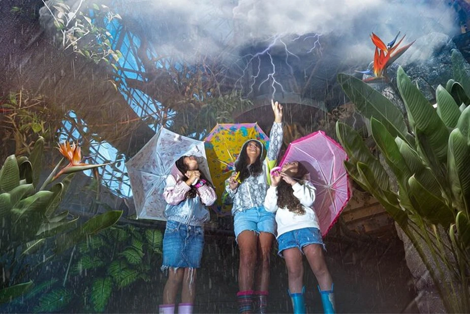 Experience a Tropical Thunderstorm
