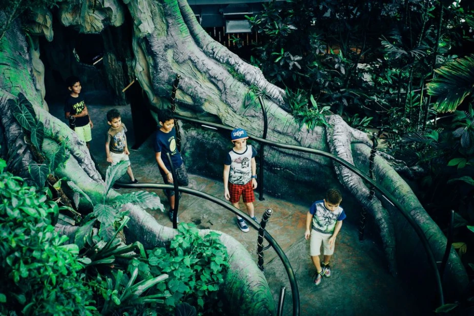 Inside the Dubai Green Planet