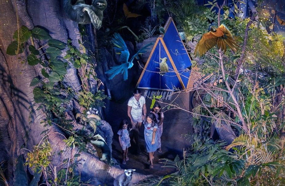 Interesting Camps