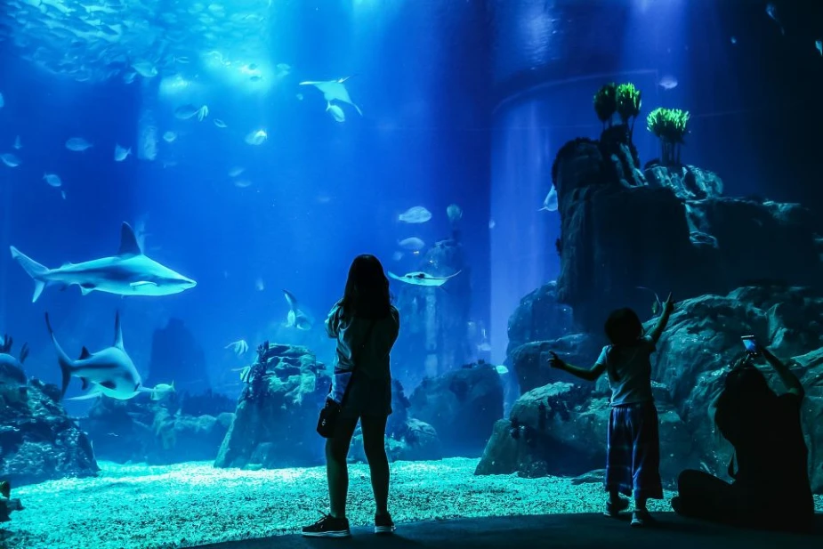 Lisbon Oceanarium Entrance Ticket