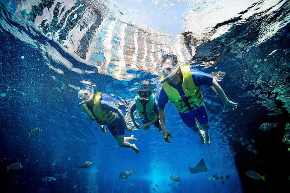 Lost Chamber Ultimate Snorkel and AquaTrek Xtreme Tickets
