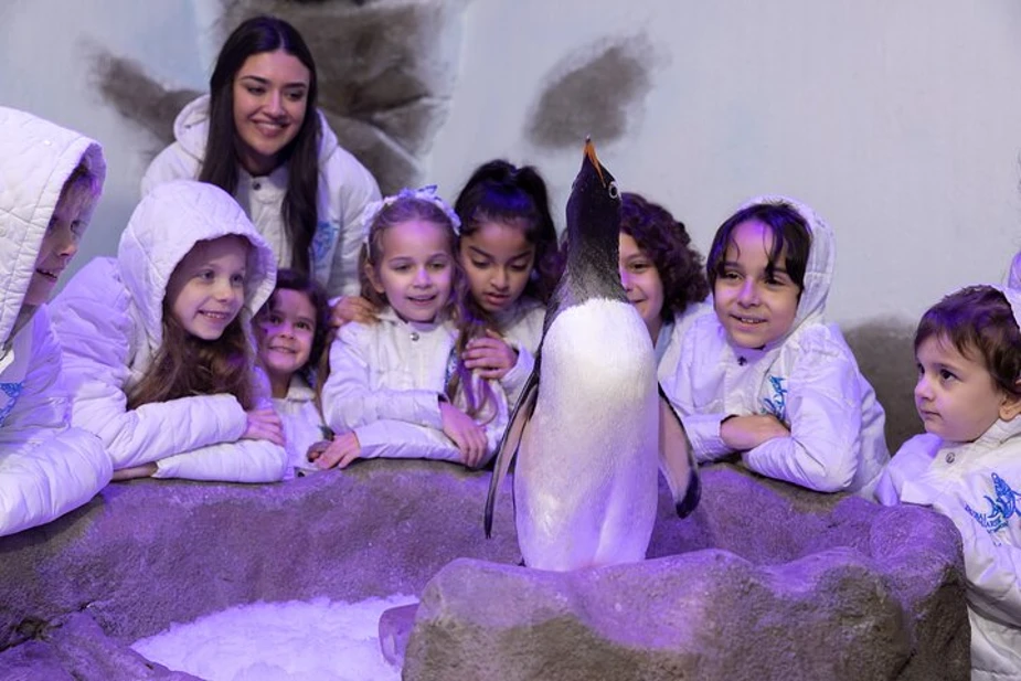 Other Experiences at Dubai Aquarium