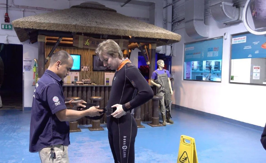 Tips for Shark Dive at Dubai Aquarium