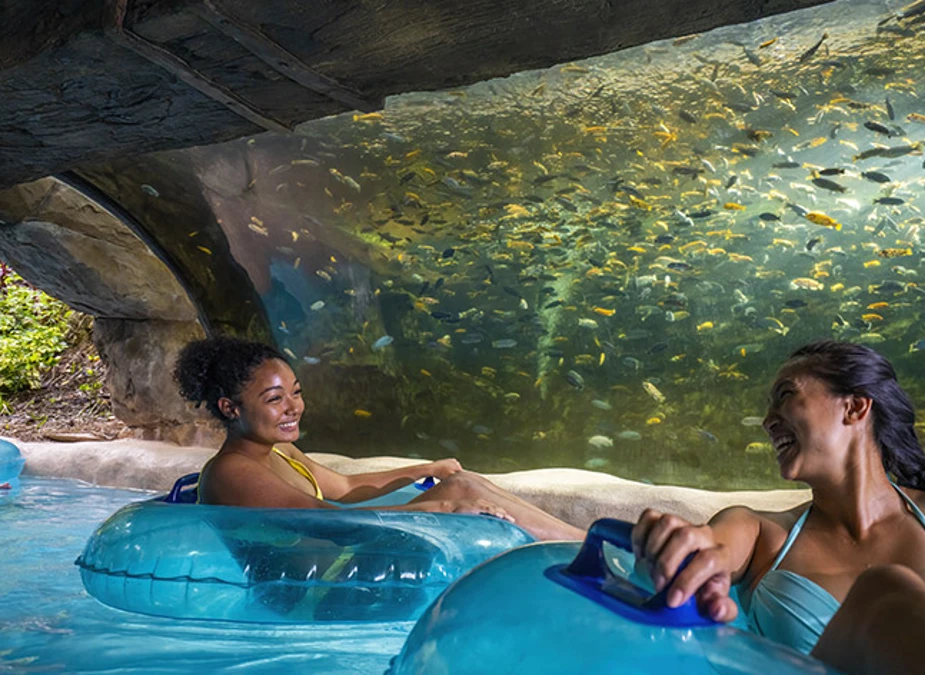 Features of SeaWorld Orlando