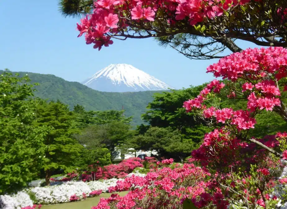 Mount fuji weather
