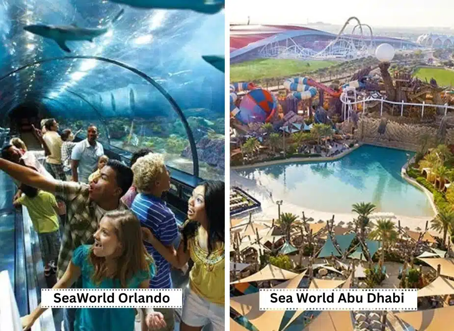 SeaWorld Abu Dhabi vs SeaWorld Orlando Recommendation