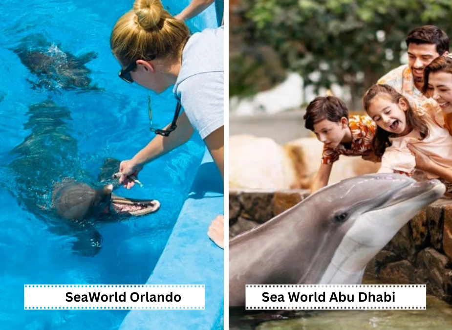 Seaworld orlando vs seaworld abu dhabi marine life