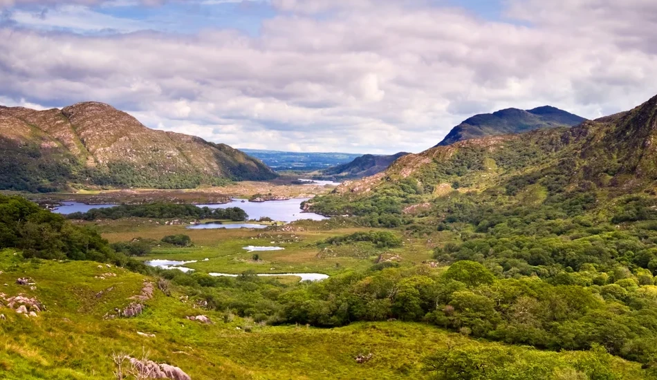 Prenota una carrozza trainata da cavalli per una giornata speciale a Killarney.