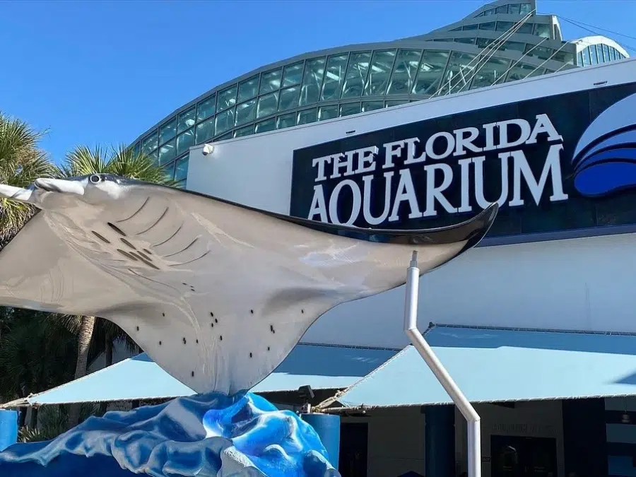 Florida Aquarium Schedule