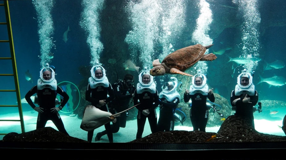 Journey into the Oceans