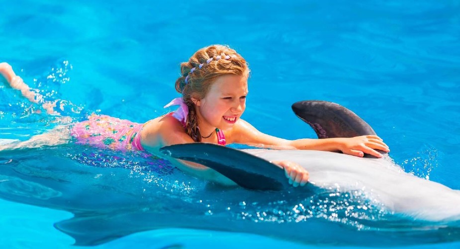 Benefits of Booking a Dolphin Experience Ticket
