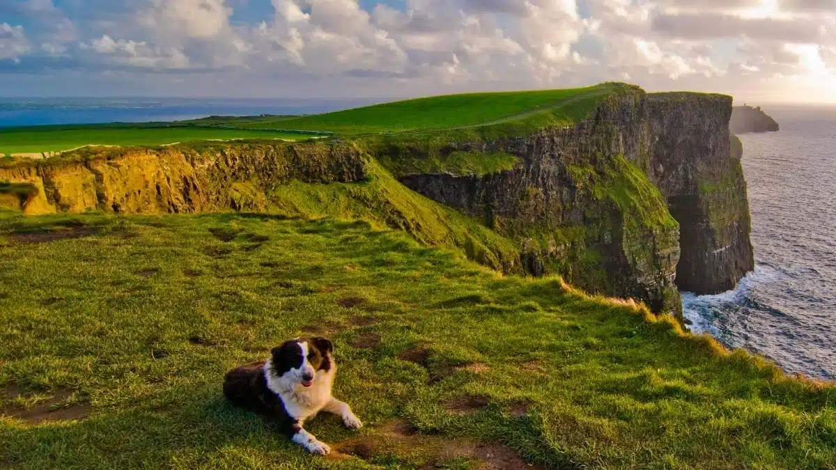 Sunset time on the Cliffs of Moher|||Best Time of Year to Visit the Cliffs of Moher